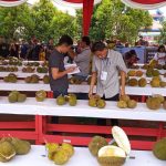 festival durian di ayani mega mall