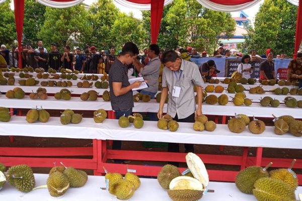 festival durian di ayani mega mall