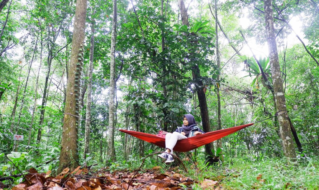 Kisah Arboretum Sylva Kawasan Hutan Di Tengah Kota Pontianak